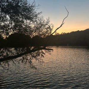 Meet your Posher, Adelyn